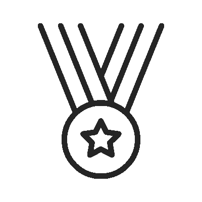 מצוינות מקצועית